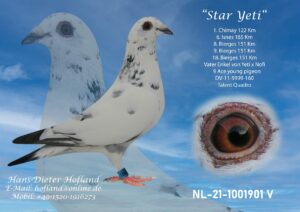 Yeti Star NL-21-1001901