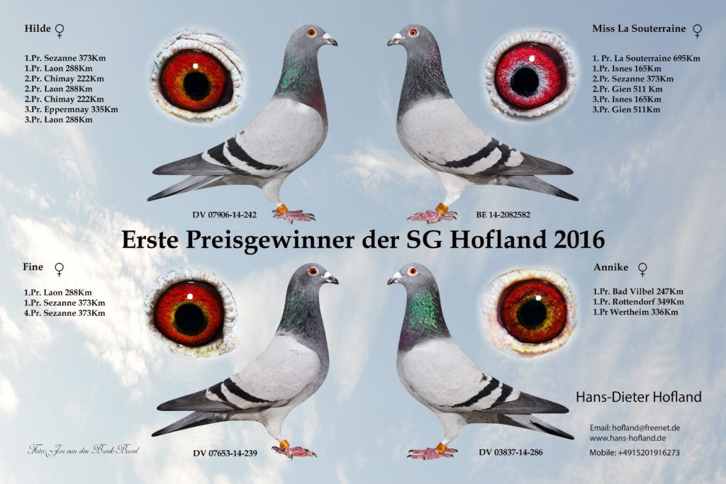 erste-preis-gewinner-2016-bl